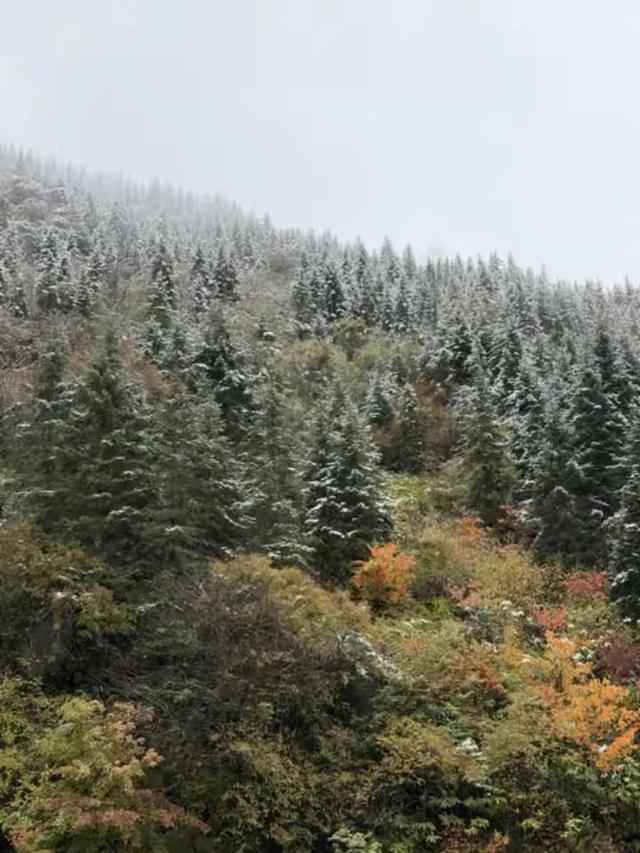 秋假追雪毕棚沟，没想到被安德服务区圈粉了！