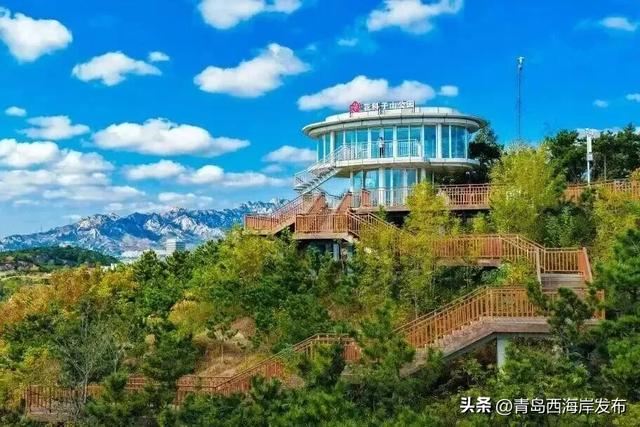 “冬游西海岸”!5条热门线路等你来🤩