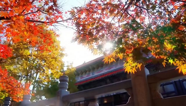 来临沂看日出！逛早市！一起「点靓」沂河的夜