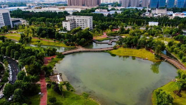 雨后郫都美出新高度!这些画面太惊艳~