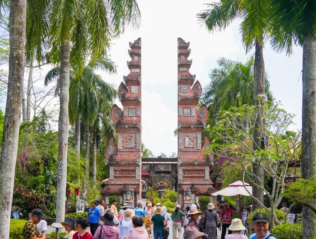三场大赛嗨到年底!跟着冲浪赛游万宁,在暖冬里重温夏日