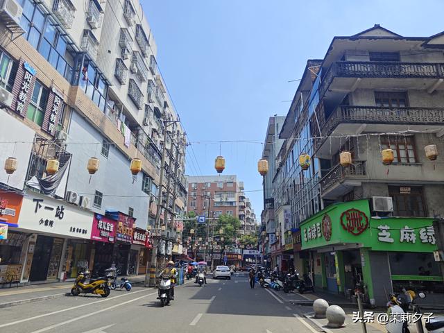 福鼎市区一日游：从白茶发源地到市井小吃赏唐风建筑品山海韵味