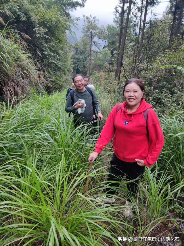 徒步牛栏坪赏高山草甸