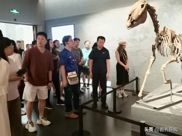 “齐系明星”的顶流，都在这儿……