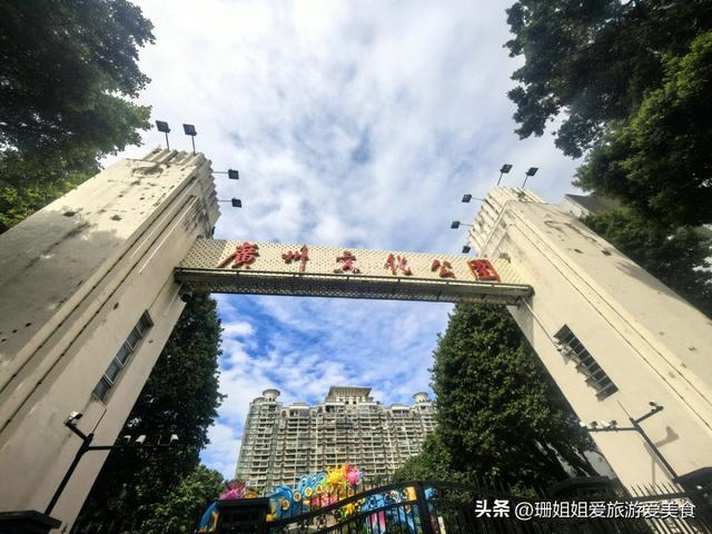 广州文化公园66届菊展，藏秋冬浪漫气息，延续全运会风情，免费