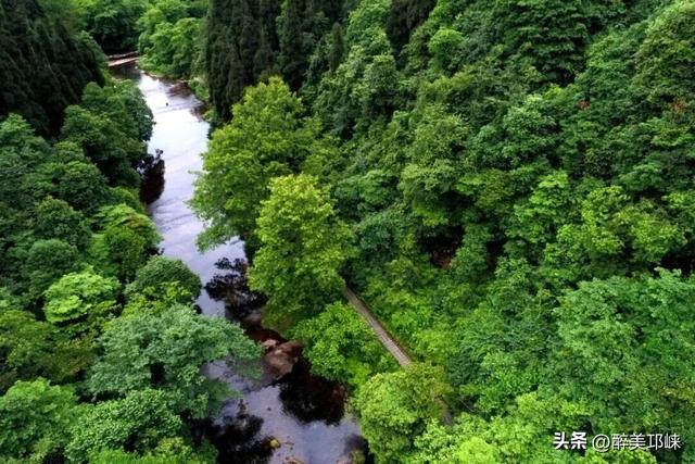 秋日轻徒步去哪？就来成都邛崃天台山！