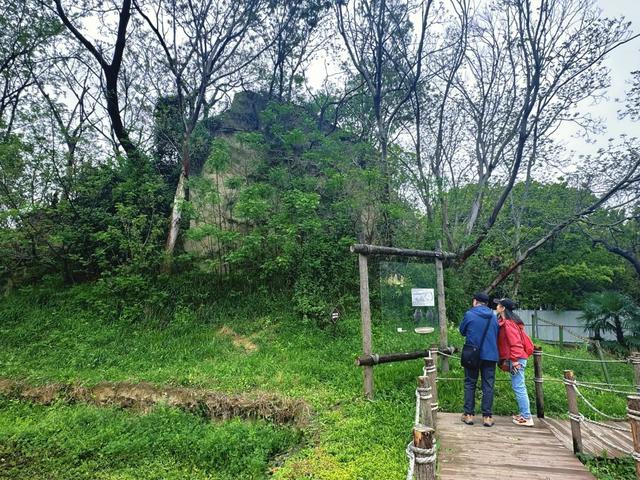 昆山兵希惊现考古重地,想起10年前无人问津的草鞋山
