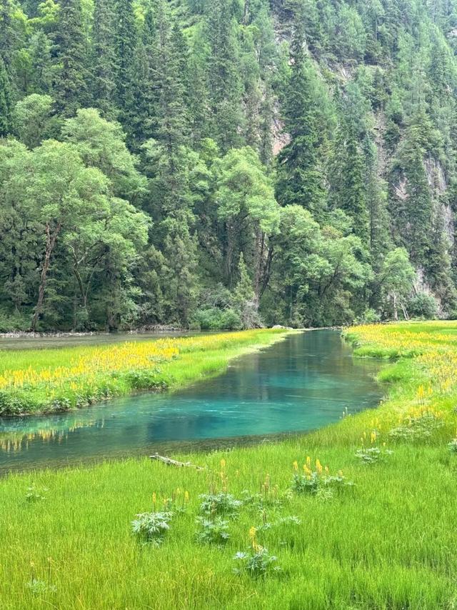 海子映山，绿意漫岸，九寨沟牌“净化器”已上线~