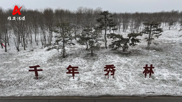 雪后雄安别样美