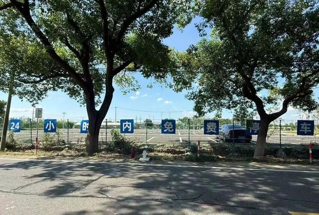 上海人的“宝藏后花园”全面升级啦！水上森林玩出新花样，这份攻略请收好！