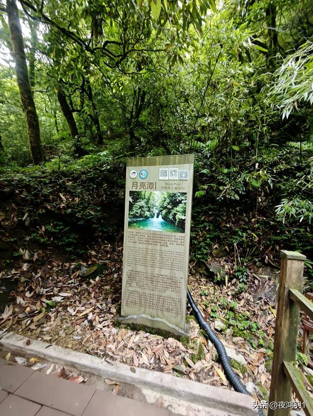 徒步瓦屋山,太艰难了,坚持下来不容易
