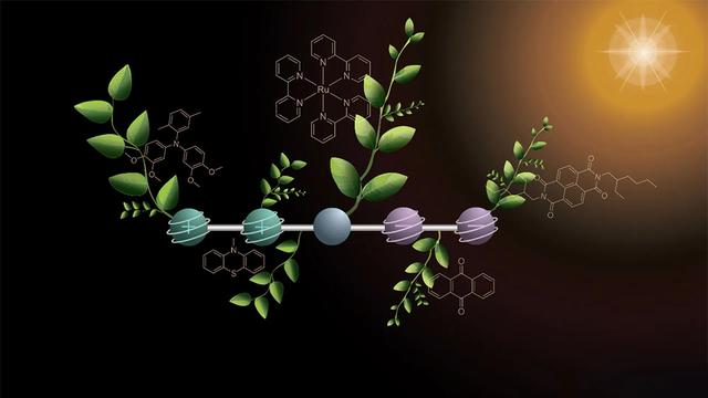 仿植物分子储存太阳能：人工光合作用迈出关键一步