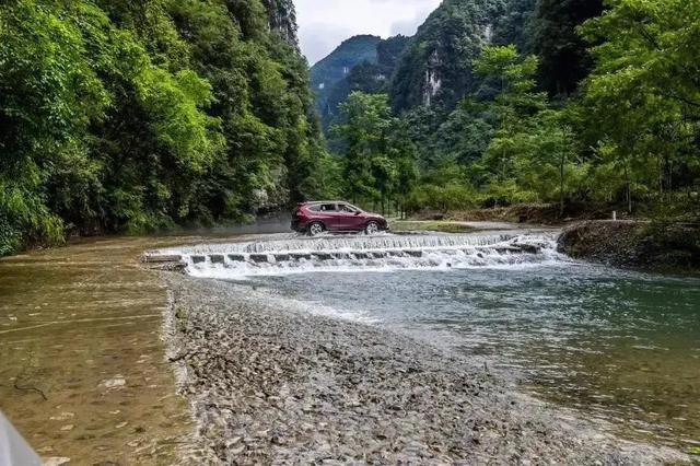 乡游黔中 · 绥阳县 蒲场镇丨茶香漫山,诗画山水迎客来