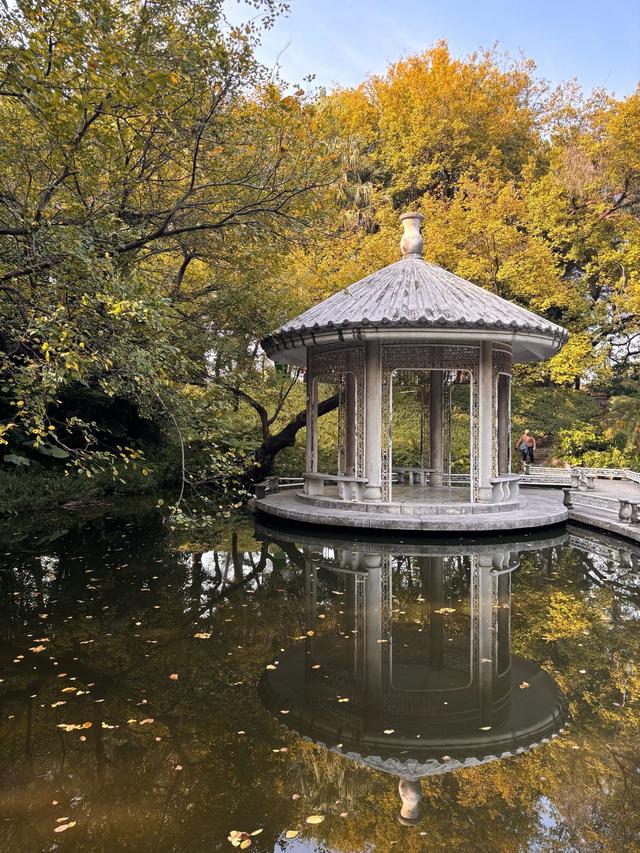 清远深秋十大免费打卡地，邂逅岭南最美金黄秘境！