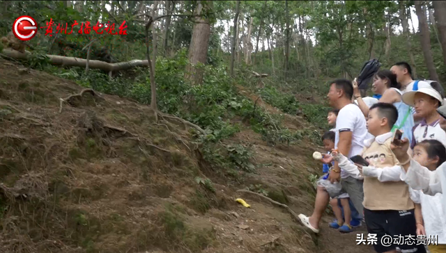 “你打猴我就打你”环卫工驱猴被游客怒斥，黔灵山公园工作人员