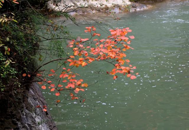 这才是秋天该有的样子~