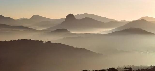 藏不住了！正是好拍又好逛的时候！就在日照这些地方……