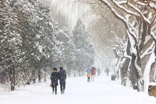 俗话讲“遇到早寒露，雪大不见路”，今年冬天冷不冷？答案来了！