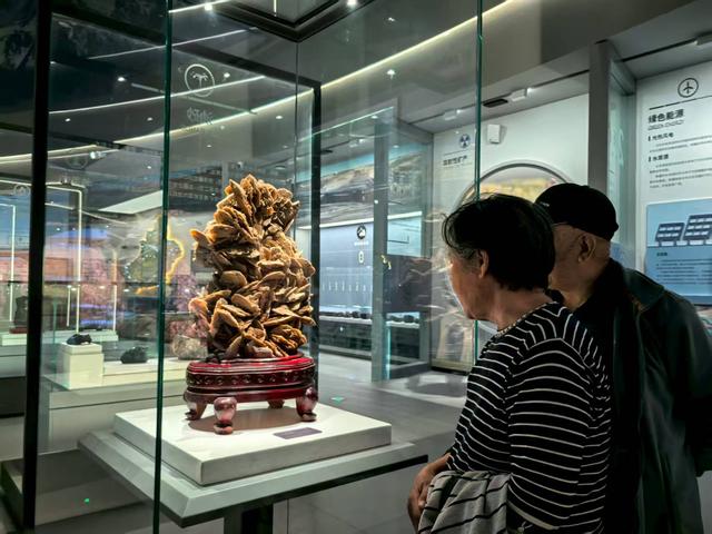 新疆自然资源资料档案馆与地质矿产博物馆开馆 打造地矿文化新地标