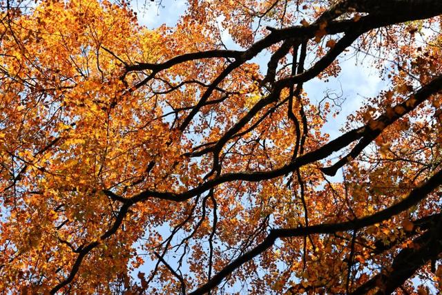 天池「初妆」，素颜静好