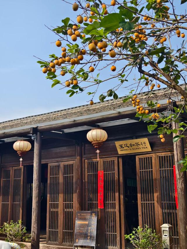 天童老街上，百年茶行何以再飘香