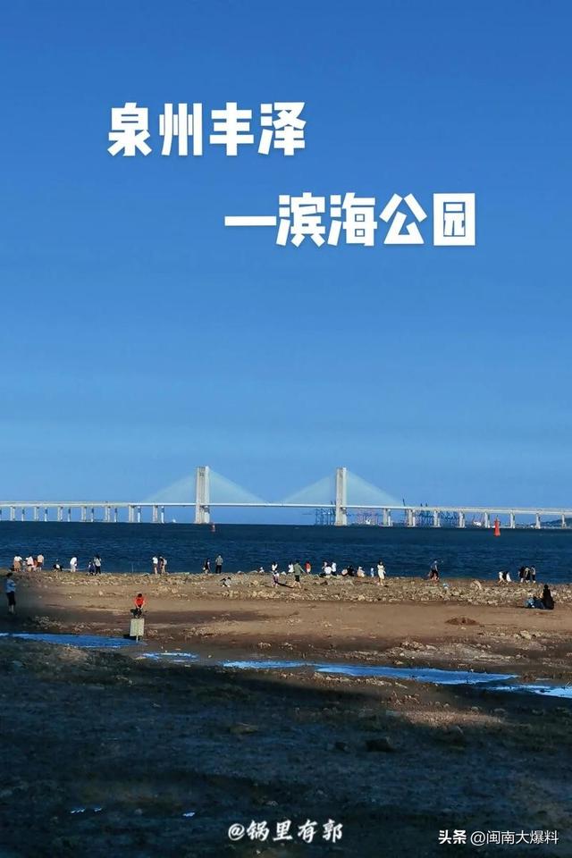 全部免费！泉州适合遛娃/放空/散步的10个小众公园！附游玩好去处