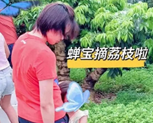 陈芋汐妈妈说对了！全红婵近况曝光，复出训练状态好，网友劝退役