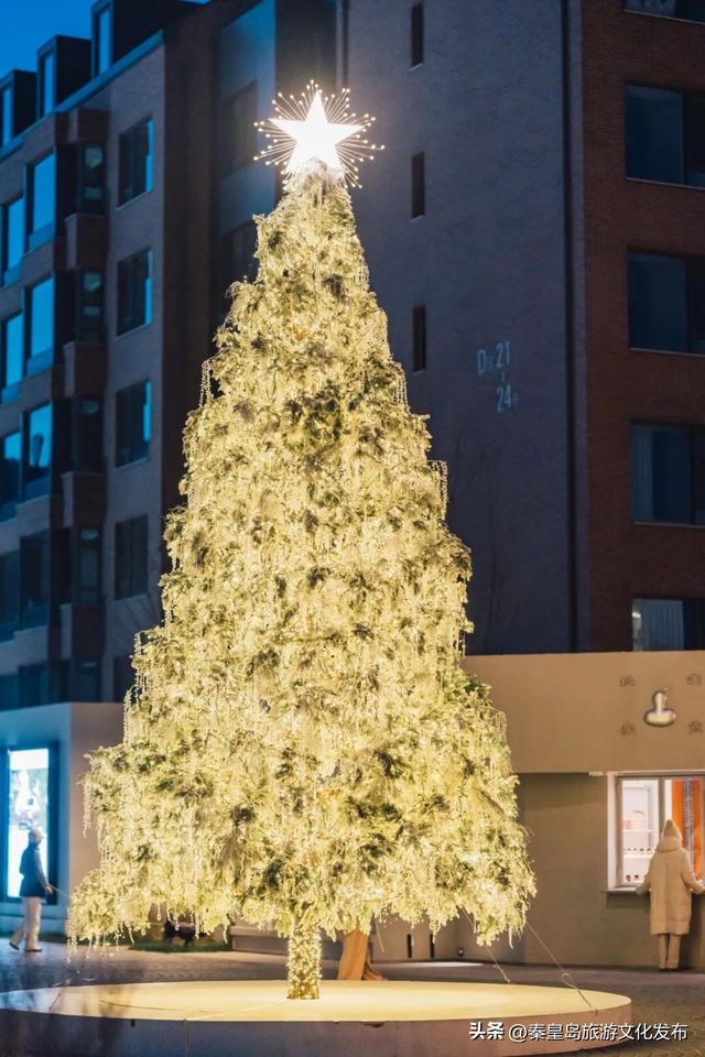 阿那亚童话月来了！岁末海边的童话梦境，守护每一个纯真的你