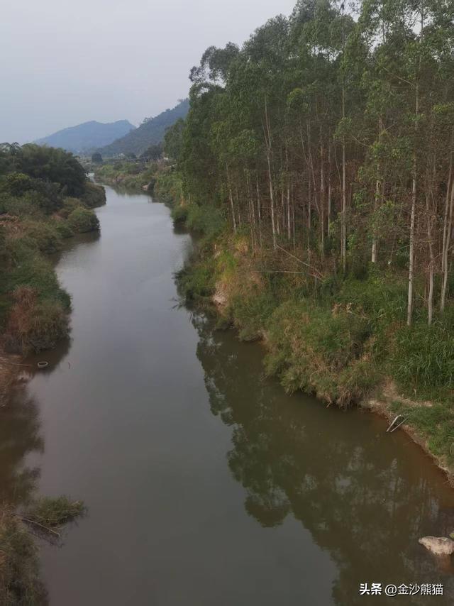 从厦门到漳浦诞生此行第一胎 品美味河豚 双龙连续第三年千里双骑9