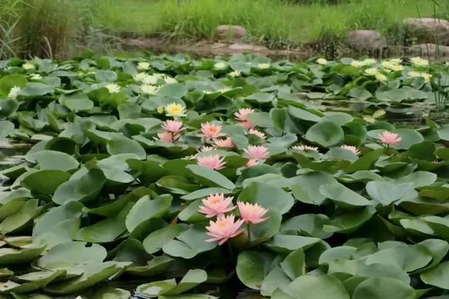 郑州出发2小时左右直达→藏在豫北的 “宝藏地”！