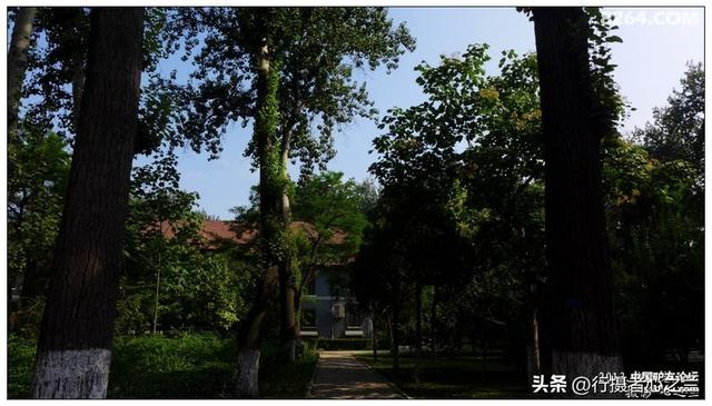山东行游影记（14）—济南山东大学（一）