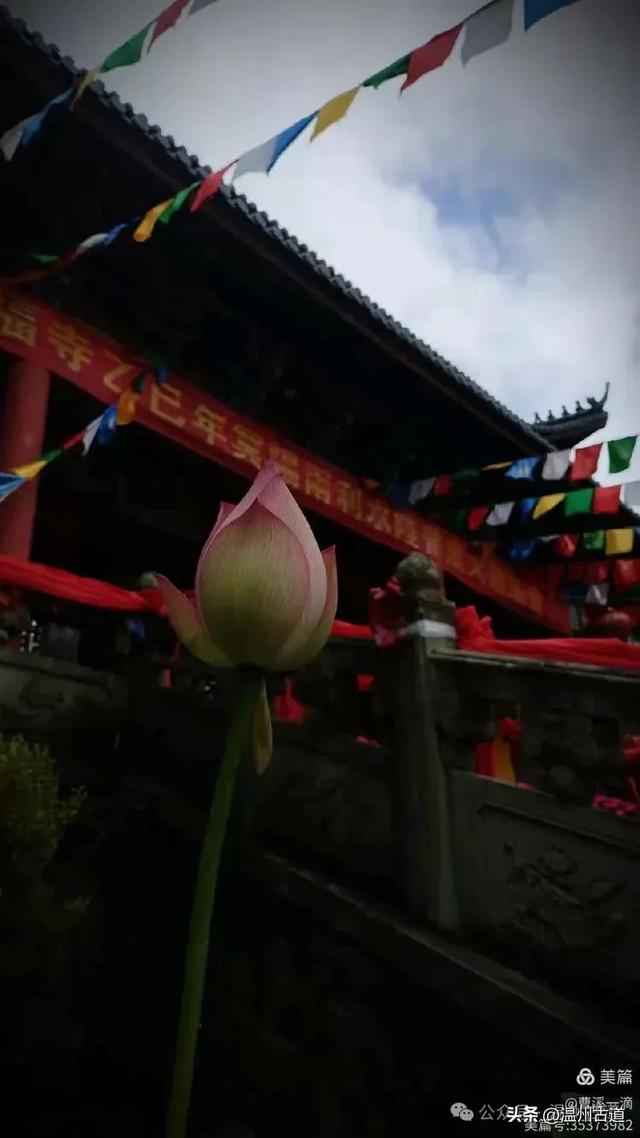 夏日闲逛大寺基，体会高山之上的凉意，处处有惊喜！
