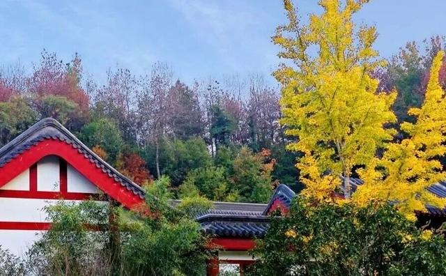 巨出片！观音湖「延迟版」秋景亮相