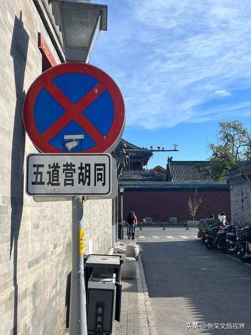 北平秋韵：红墙金叶间的诗意巡礼