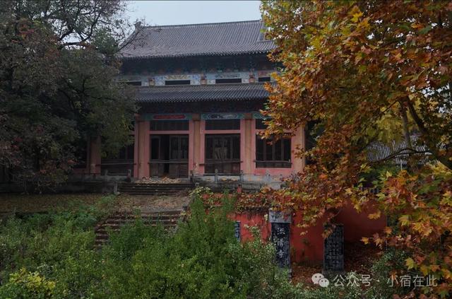 初冬宿州镇头寺，西风调朱墨，尽染深山树！