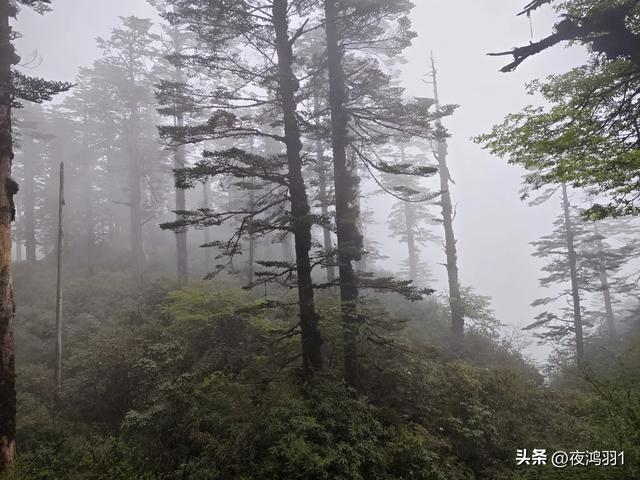 徒步瓦屋山,太艰难了,坚持下来不容易