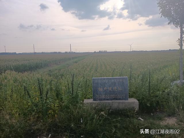 欧阳修，梅尧臣吟诗歌颂了邓州百花洲，钳卢陂，穰侯墓等古迹名胜