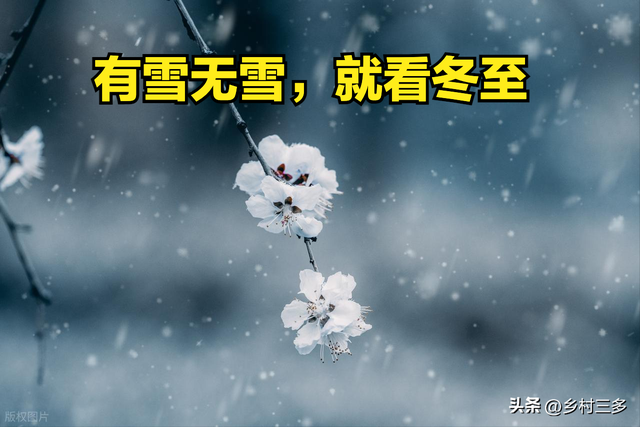 “有雪无雪，就看冬至”，今日冬至，今冬雪多冷到哭？看农谚咋说
