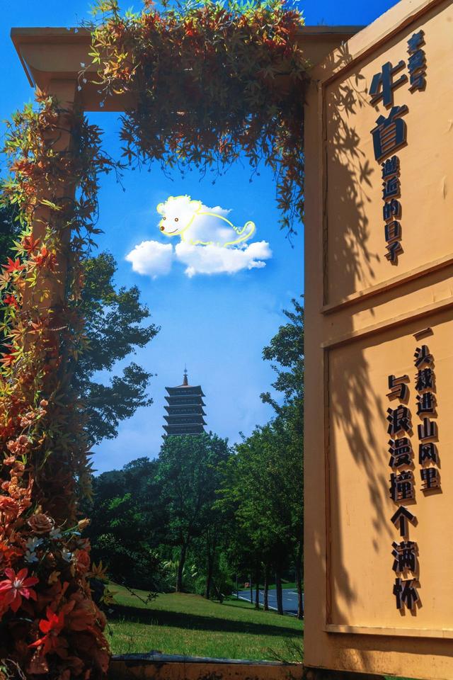 这是南京牛首山接下来的风景预告