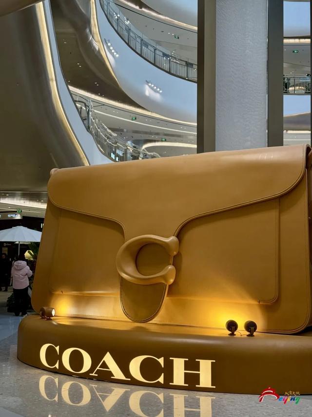 太火爆！“湾里”正式启幕！现场直击来了——