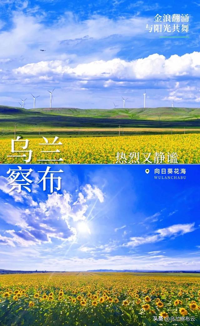 这个夏天，乌兰察布如此热烈！却又如此静谧！