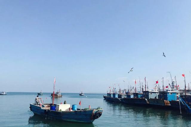 去烟台龙口旅游,海菜包4元一个,凉拌海菜20元一盘,你看值吗?