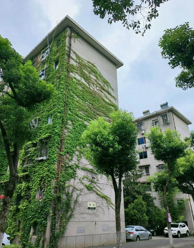 拆迁全面叫停？满24年房龄的老小区，一律按新规处理！业主迎利好