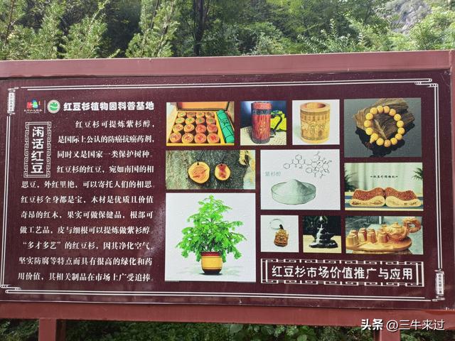 无为在歧路，壶关林州大名府3