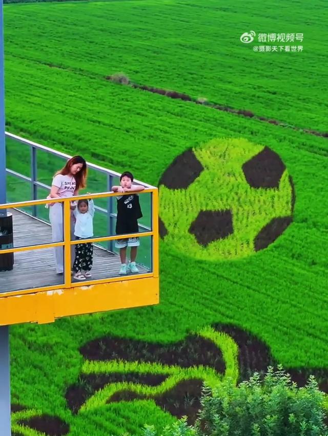 这是济南的“稻”梦空间，初秋刷爆朋友圈！