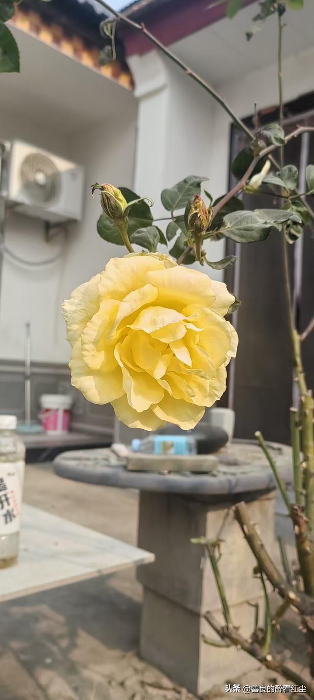 如果一个女人愿意倒贴出轨你的老公，你可以接受老公的出轨吗？