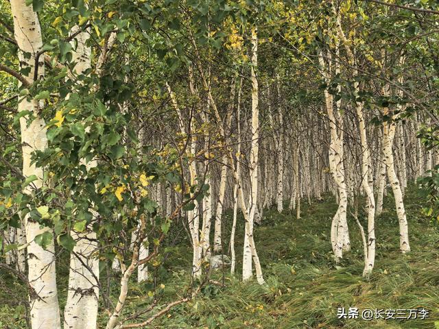 北上大草原第7站：入住贡格尔草原深处