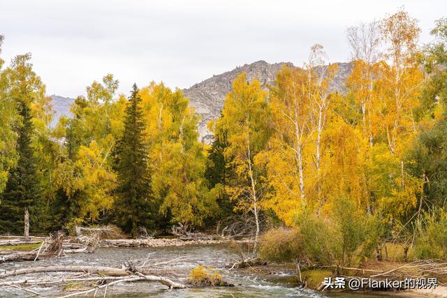 我的阿勒泰之旅（4） 可可托海