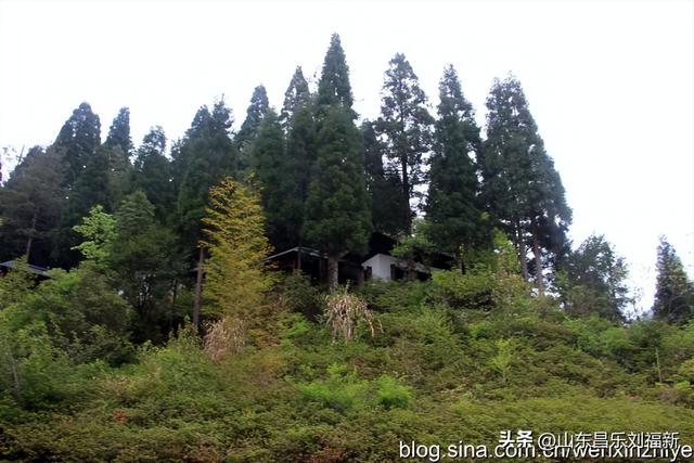 领袖峰及其它（江西之旅第八十五篇）