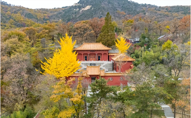 原来真的有城市，可以一天24小时都快乐~（2）